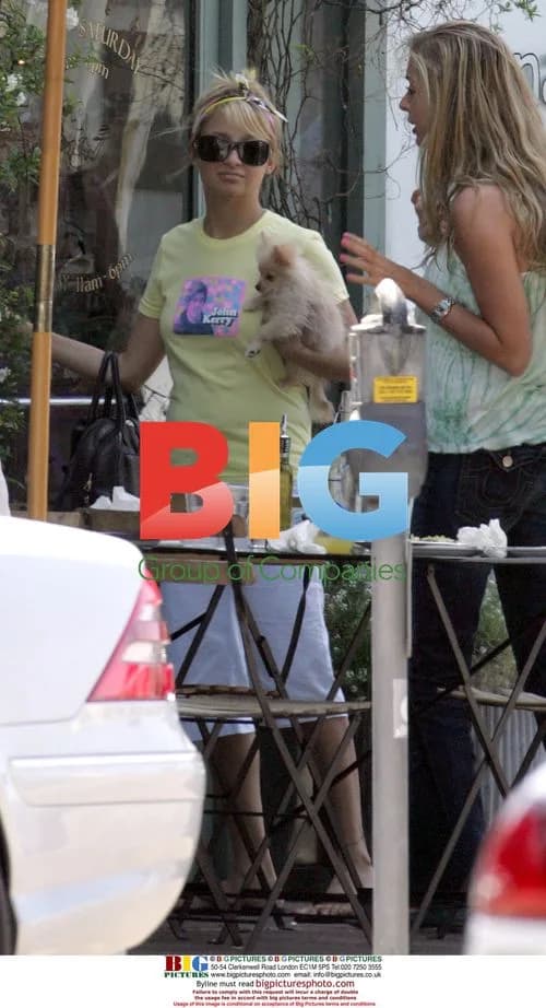 Nicole Richie Lunching With Friend and Dog