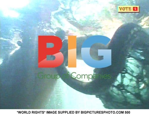 Fran Cosgrave during Bushtucker trial