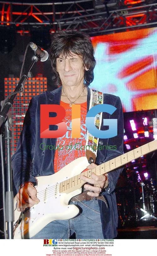 Ronnie Wood at 'Hero2Hero' Concert