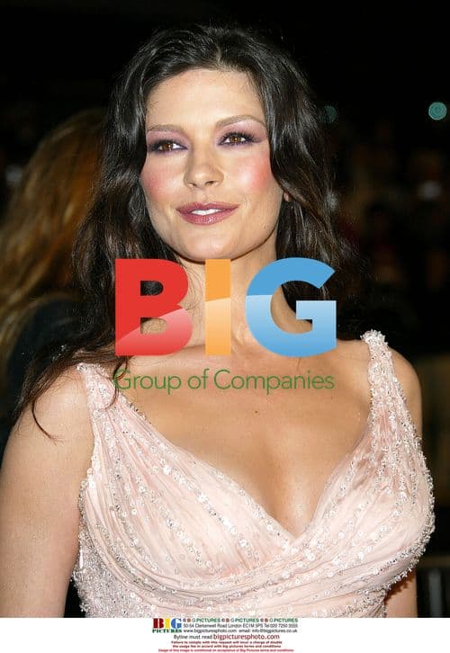 Catherine Zeta Jones at 'Ocean's Twelve' Premiere