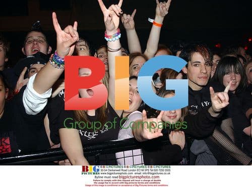 Blink 182 fans at Brixton Academy