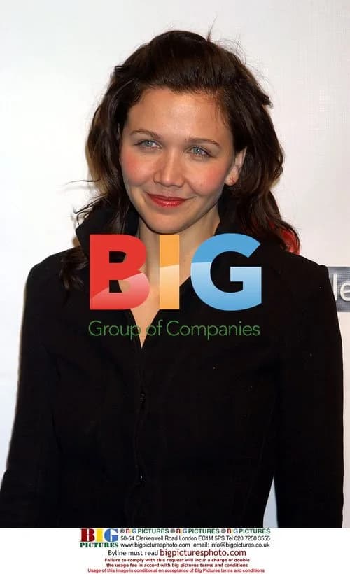 Maggie Gyllenhaal at Virgin Mobile Holiday Party
