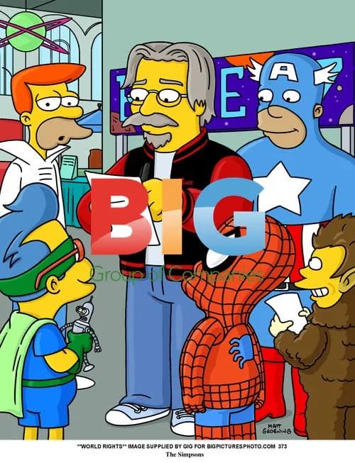 The Simpsons TV-Series