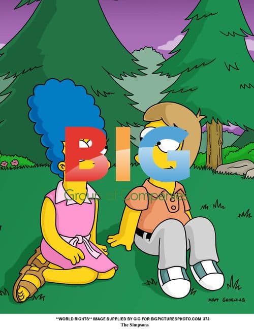 The Simpsons TV-Series