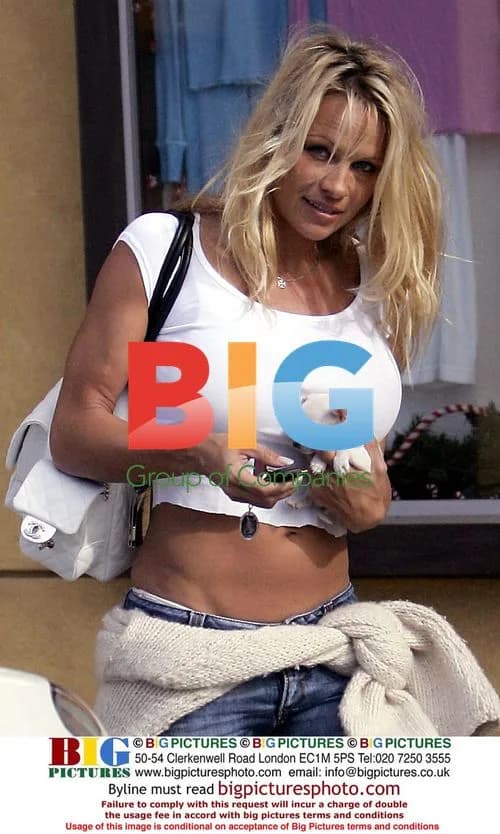 Pamela Anderson Shopping With New Chihuahua Puppy
