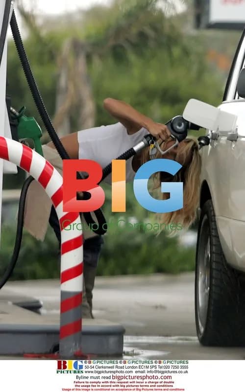Pamela Anderson Struggles at Gas Pump