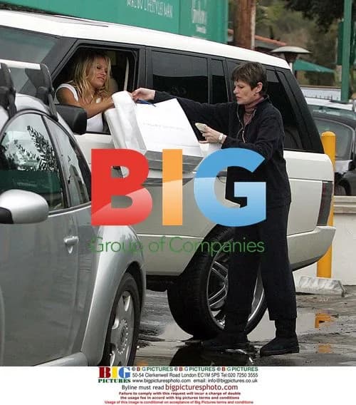 Pamela Anderson Struggles at Gas Pump