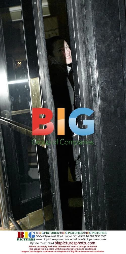 Julie Dreyfus Arriving at Hotel in London