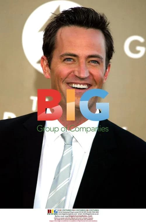 Matthew Perry at 46th Grammy Awards