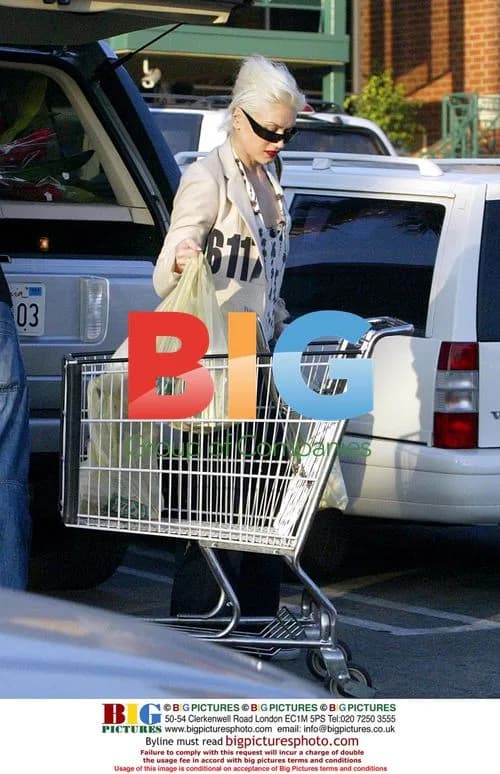 Gwen Stefani Grocery Shopping