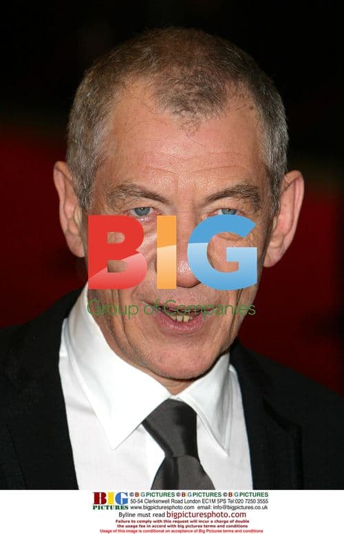 Celebrities at Red Carpet Event