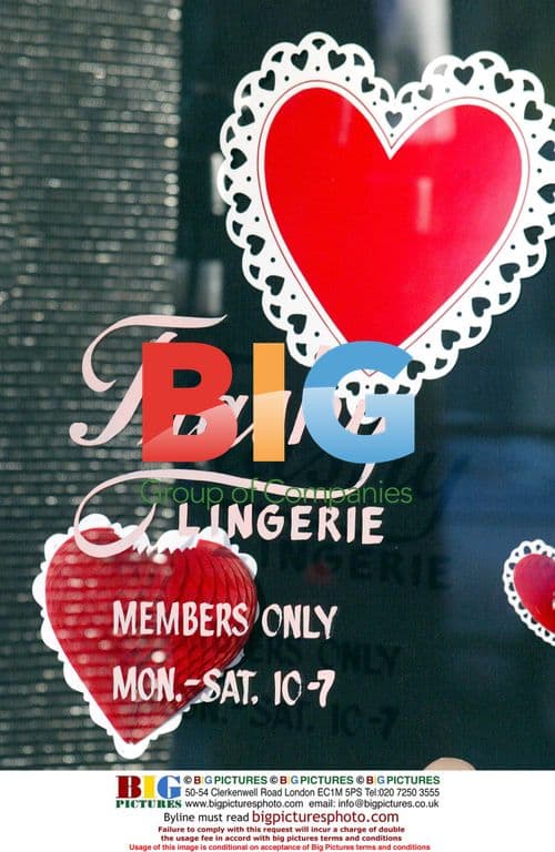 Paris Hilton shopping with sister Nickie and dog