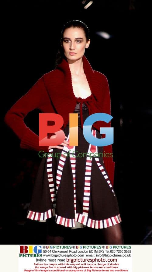 Beyoncé Wears Bold Outfit at Concert