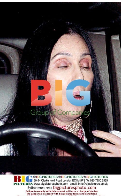 Cher with son Elijah and girlfriend at The Ivy