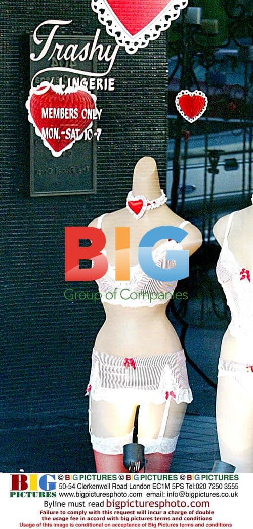 Paris Hilton Shopping with Sister and Dog