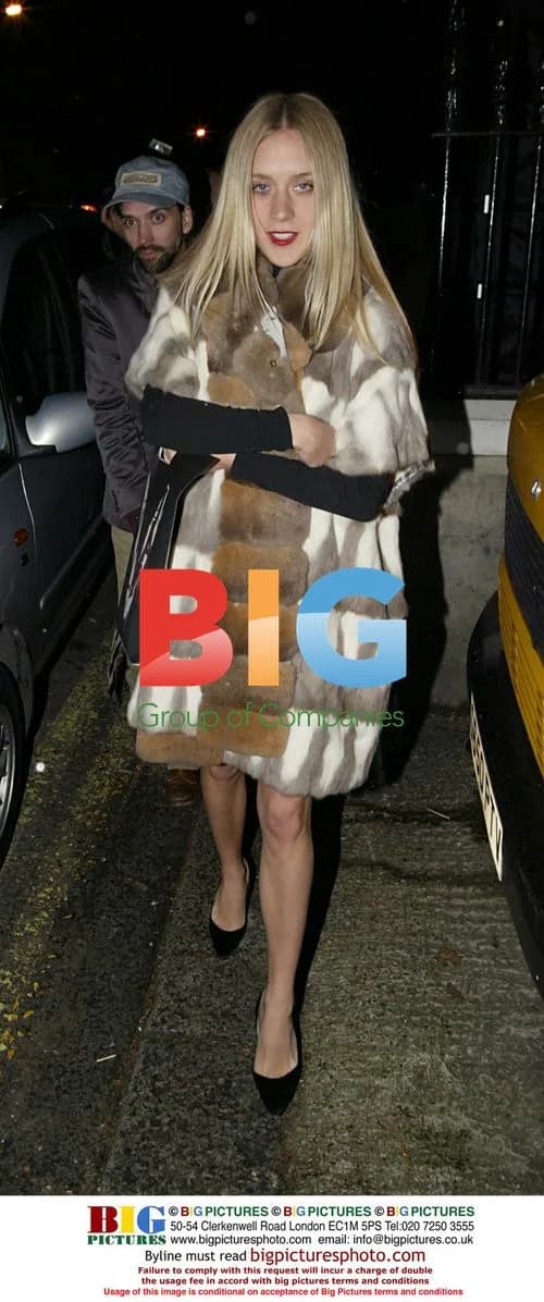 Chloe Sevigny at Private Party in London