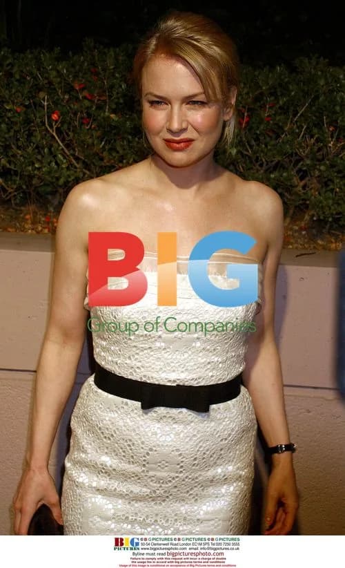 Renee Zellweger at Miramax Pre-Oscar Party