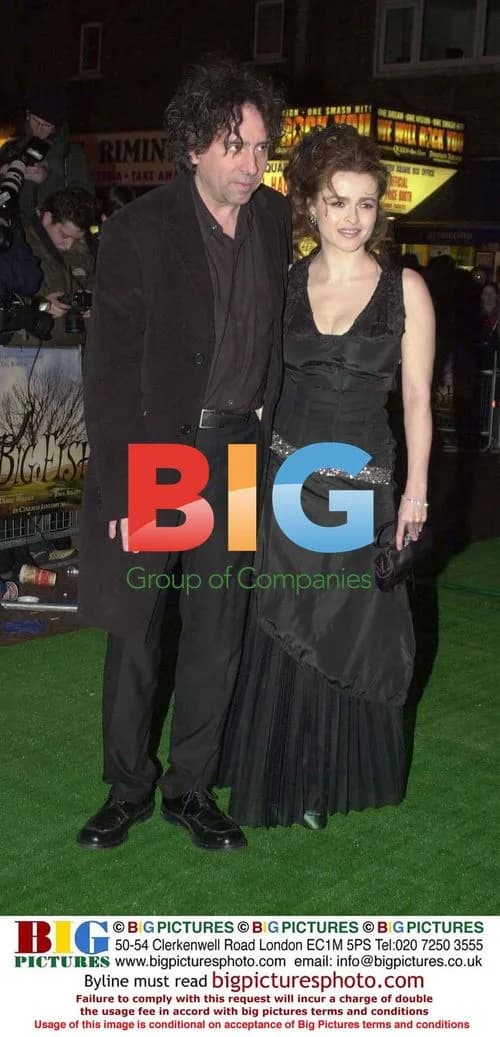 Angelina Jolie Walking the Red Carpet