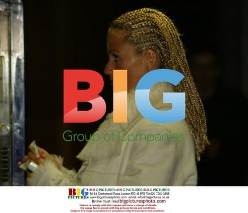 Model Jordan's New Braided Hairstyle