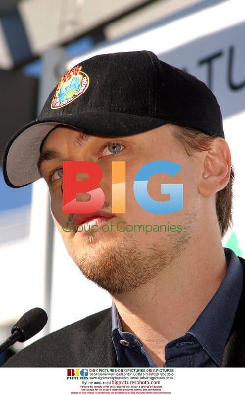 Lily Collins Attends Film Premiere