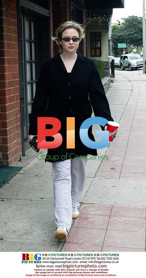 Renee Zellwegger Gained Weight for Brigette Jones Dairy 2