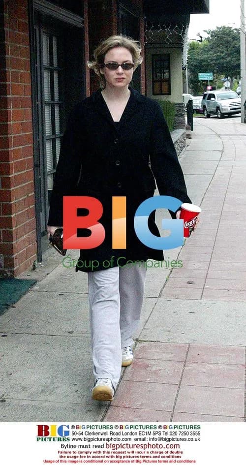 Renee Zellwegger Gained Weight for Brigette Jones Dairy 2