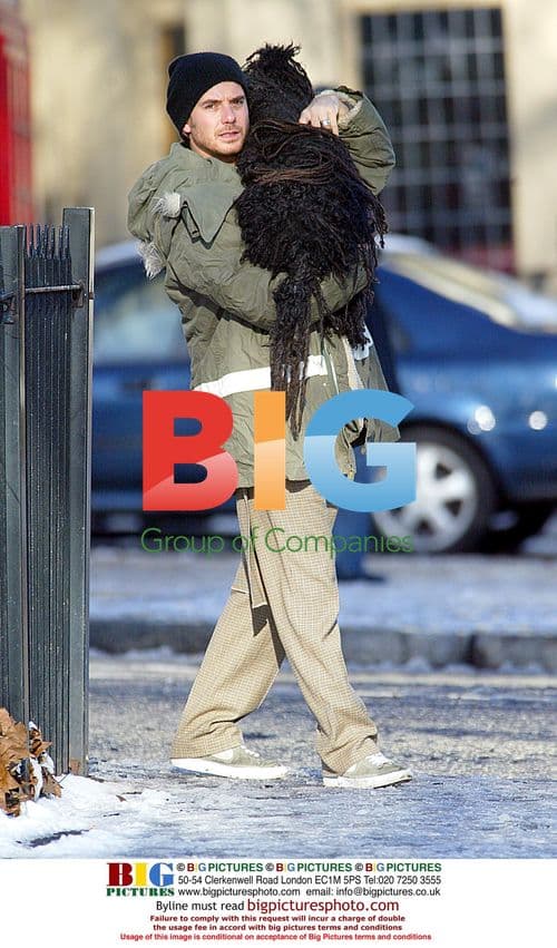 Musician Gavin Rossdale with dog in London park