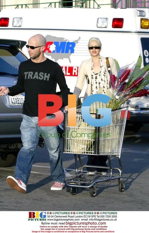 Gwen Stefani grocery shopping