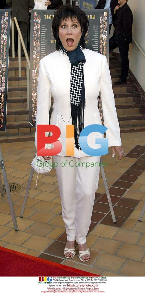 Michelle Lee at "Broadway: The Golden Age" Premiere