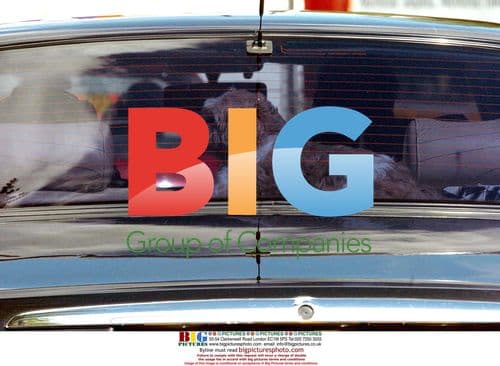 Geri Halliwell and her pet dog Harry