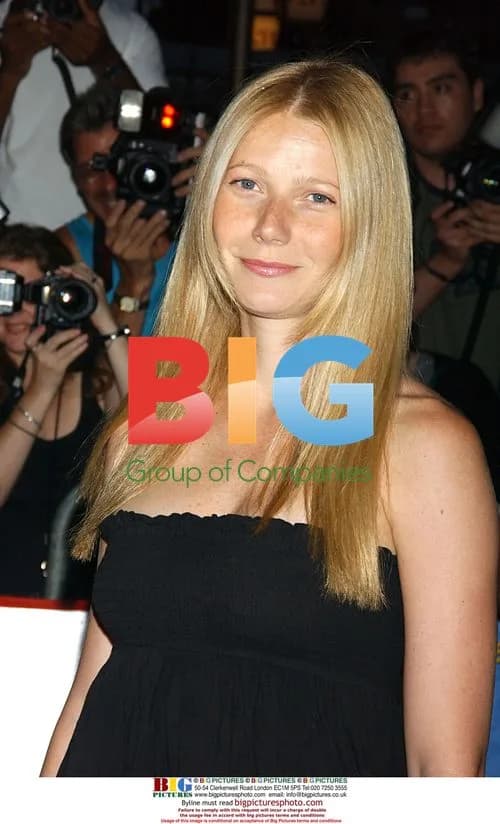 Gwyneth Paltrow at Anchorman NY Screening