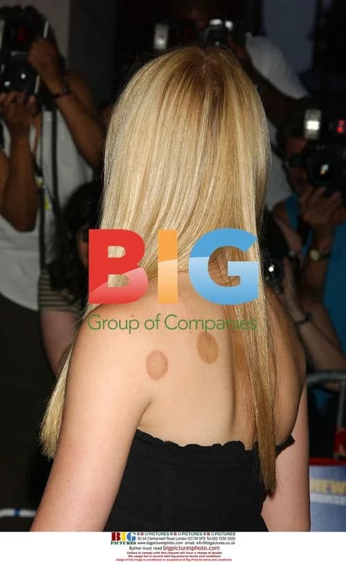 Gwyneth Paltrow at 'Anchorman' Screening