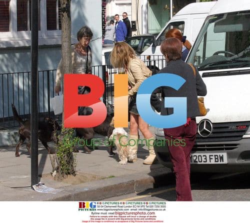 Geri Halliwell out with dog Harry in London