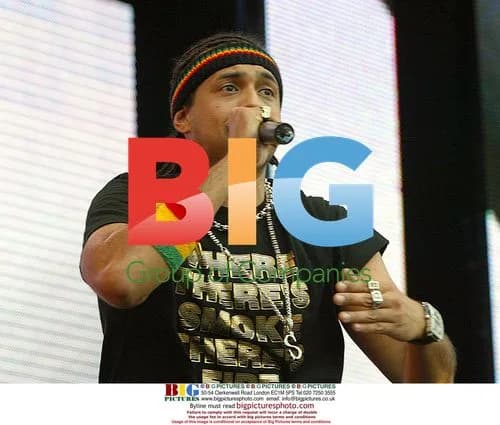 Sean Paul Performs at 'Party In The Park'