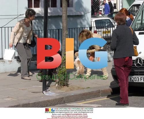 Geri Halliwell with dog Harry on market trip