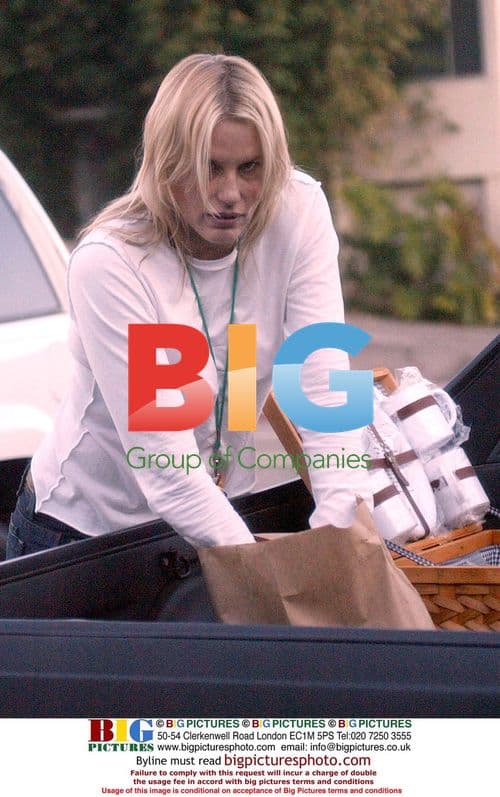 Daryl Hannah Shops for Picnic Supplies