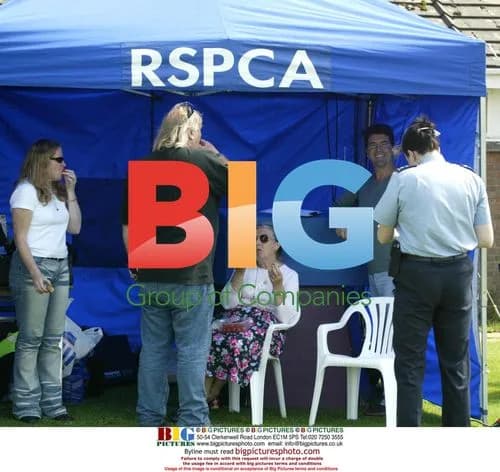 Simon Cowell at RSPCA Dog Show