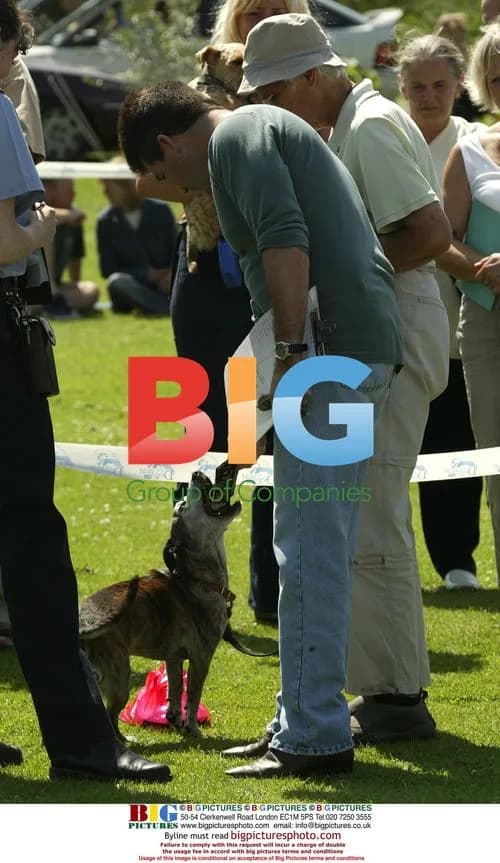 Simon Cowell Judges RSPCA Dog Show