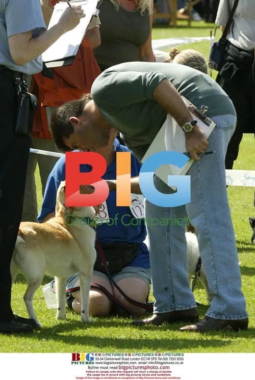Simon Cowell at RSPCA Dog Show