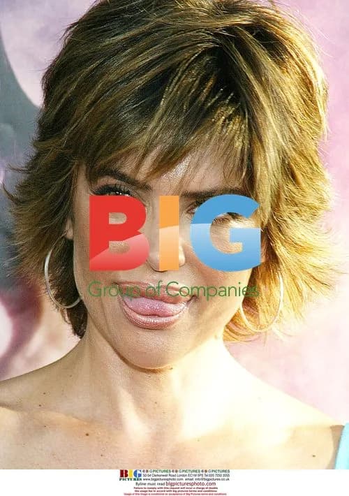 Lisa Rinna at 'Catwoman' Premiere
