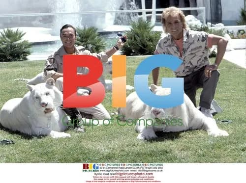 Siegfried and Roy with white tigers