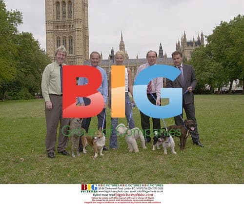 Tamara Beckwith with MPs at Battersea Dogs Home event