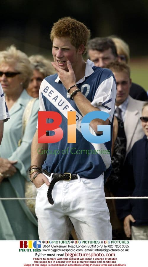 Princes Charles and Harry Play Polo