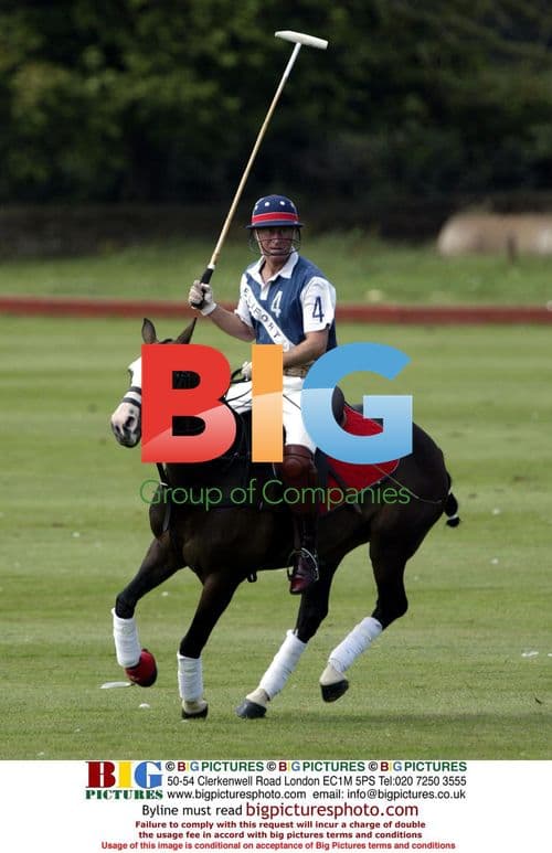 Princes Charles and Harry Polo Match