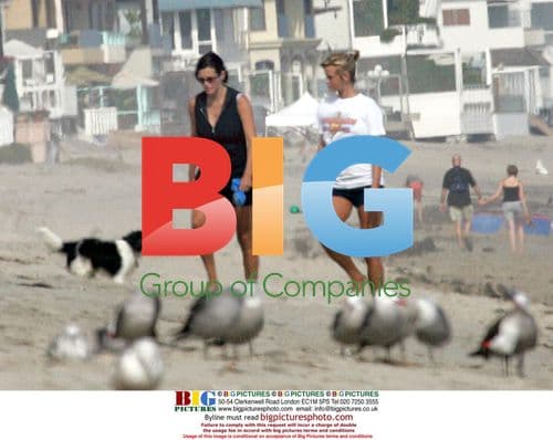 Courtney Cox walking dog on Malibu beach