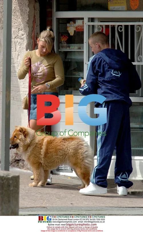 Coleen McLoughlin Walking Dog