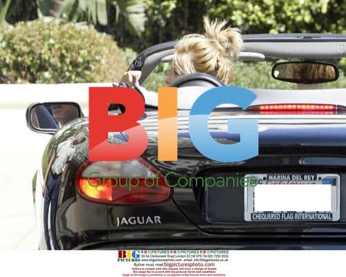 Britney Spears Takes Puppy Shopping