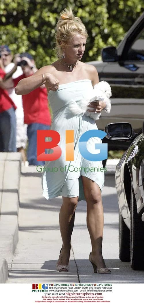 Britney Spears Out Shopping with Puppy