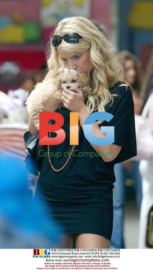Jessica Simpson 24th Birthday Surprise