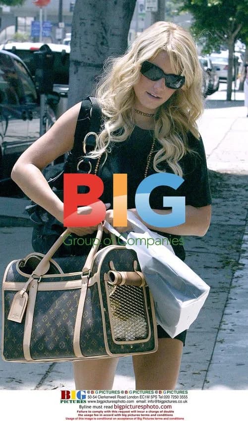 Jessica Simpson shopping with dog